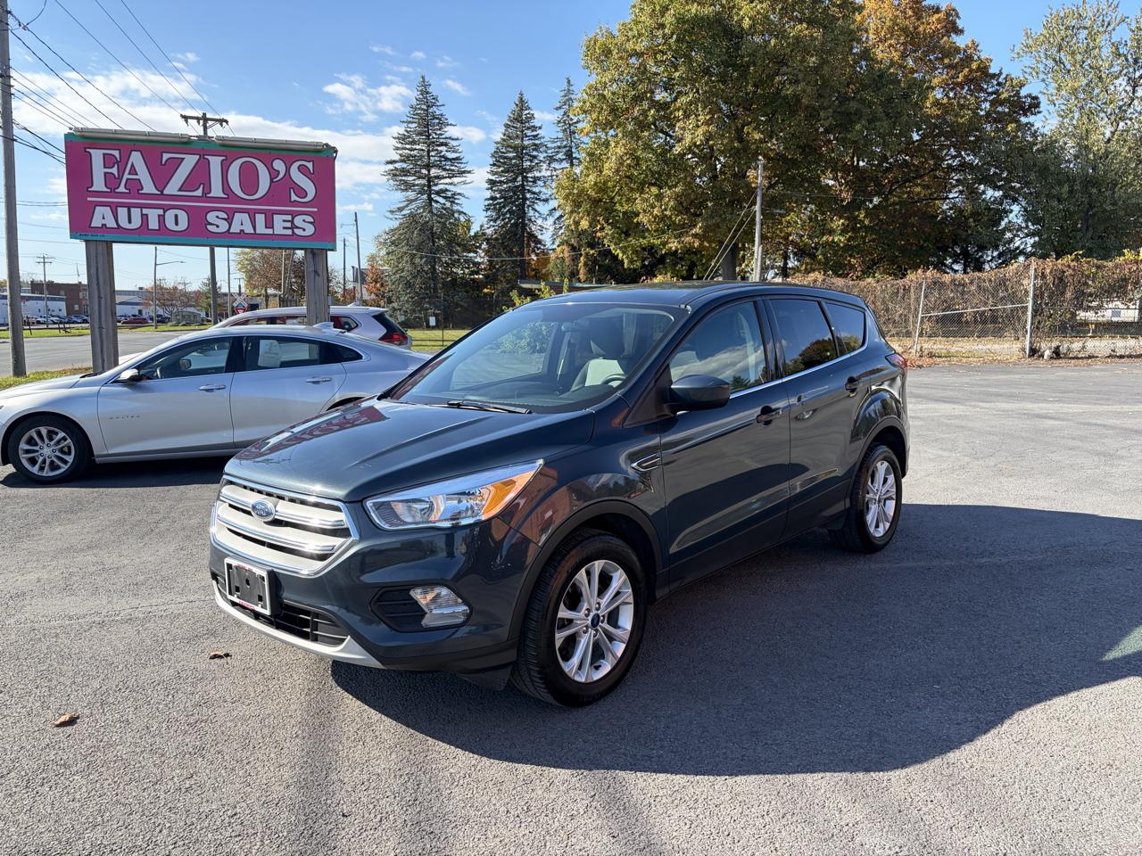 2019 Ford Escape SE 4WD