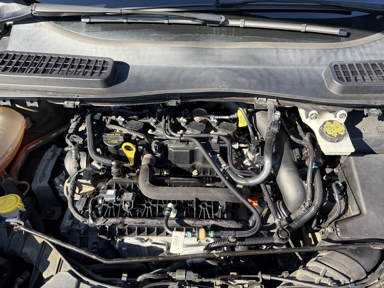 Ford Escape SE 4WD 2019
