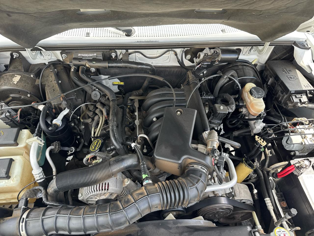 Ford Ranger Sport 2WD 2006