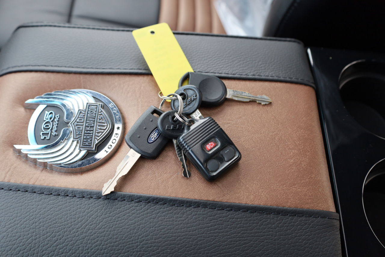 Ford F-150 2WD SuperCrew 139" Harley-Davidson 2008