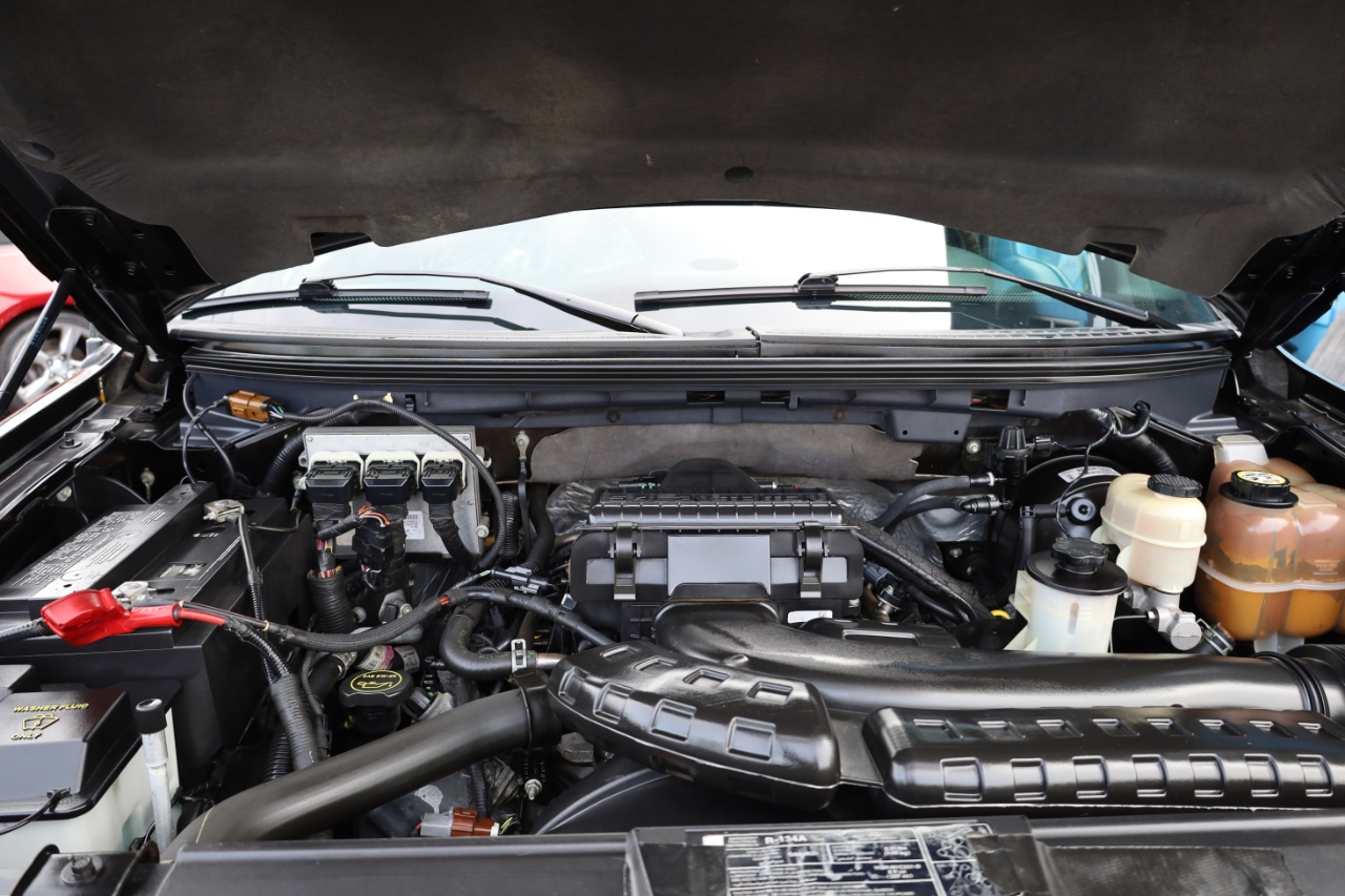 Ford F-150 2WD SuperCrew 139" Harley-Davidson 2008