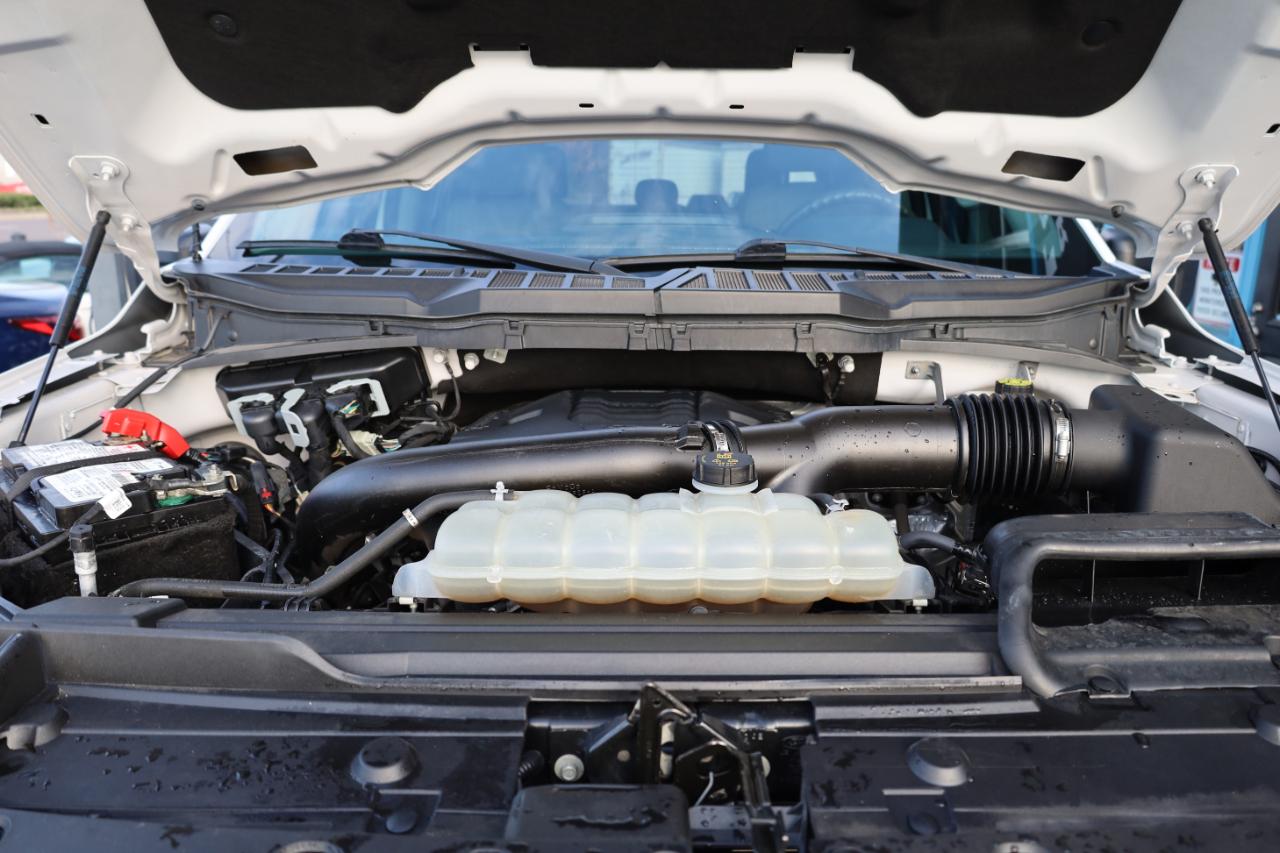 Ford F-150 XLT 4WD SuperCrew 5.5' Box 2023