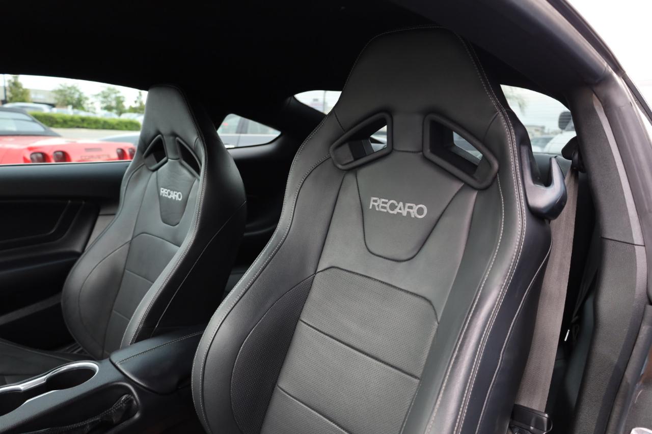 Ford Mustang EcoBoost Fastback 2019