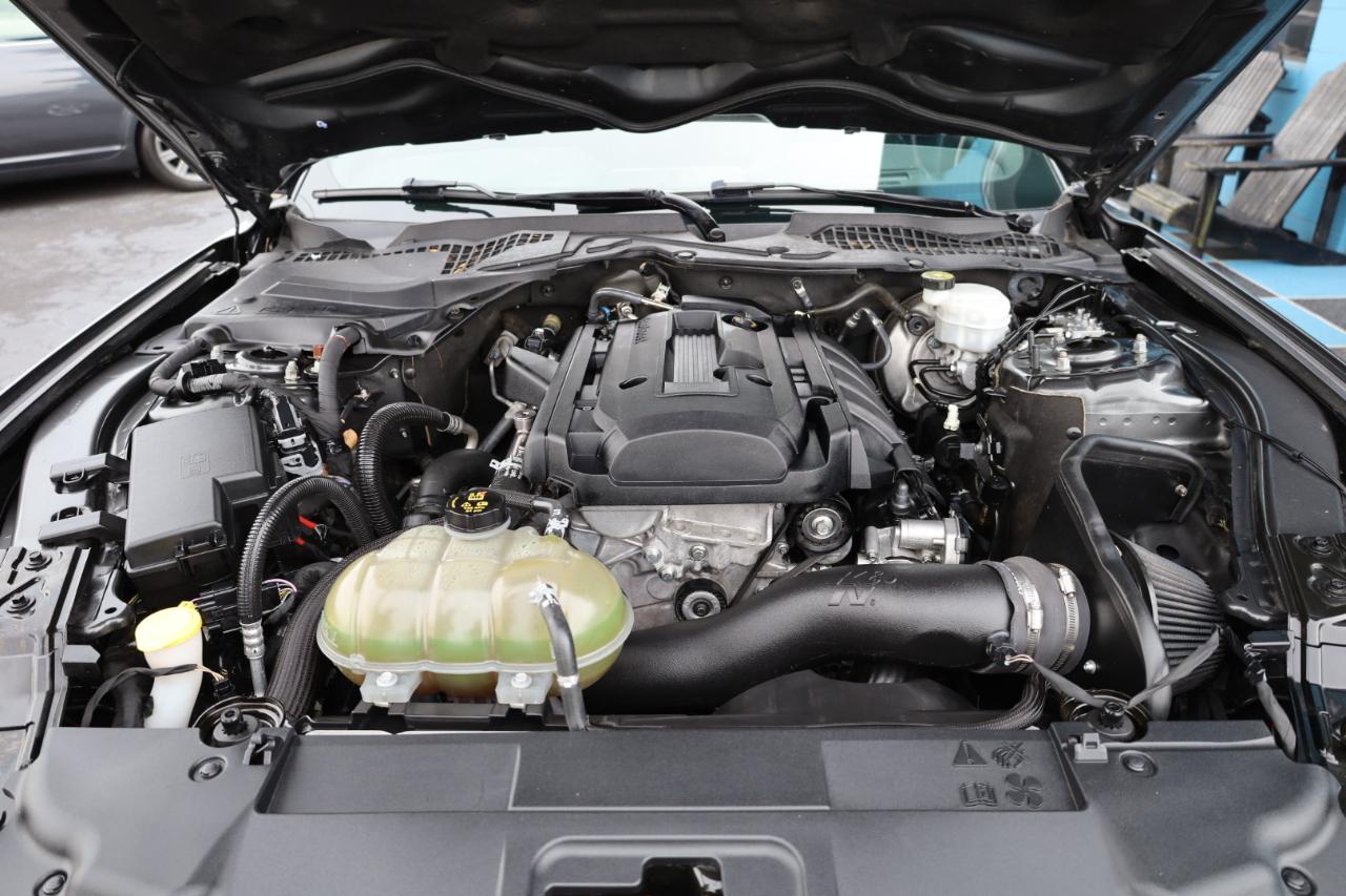 Ford Mustang EcoBoost Fastback 2019