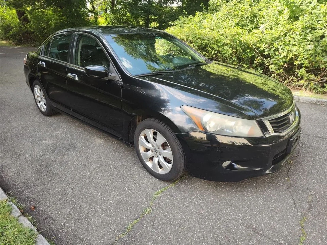 Honda Accord EX-L V-6 Sedan AT 2010 Honda Accord EX-L V-6 Sedan AT 2010