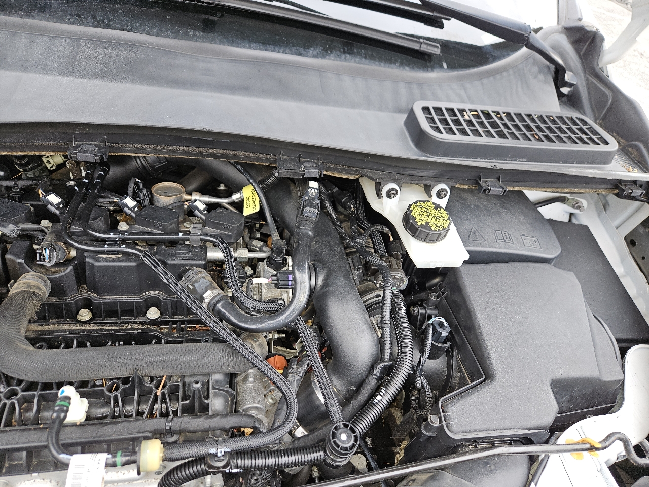 Ford Escape SEL 4WD 2019