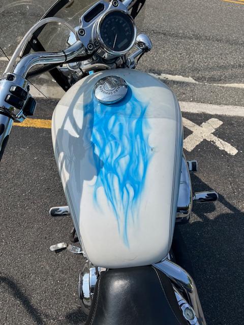 Harley-Davidson XL 883C  2004