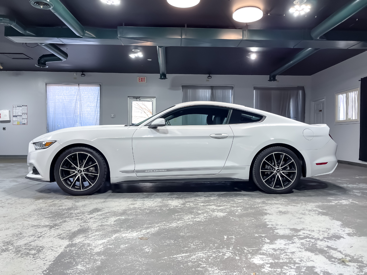 2017 Ford Mustang EcoBoost photo 4