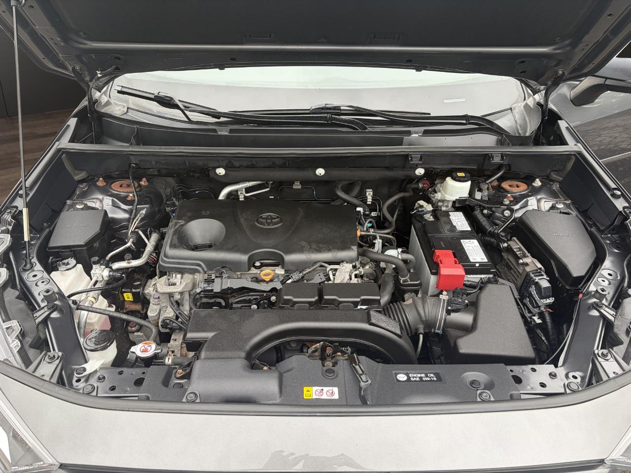 Toyota RAV4 XLE AWD (Natl) 2020