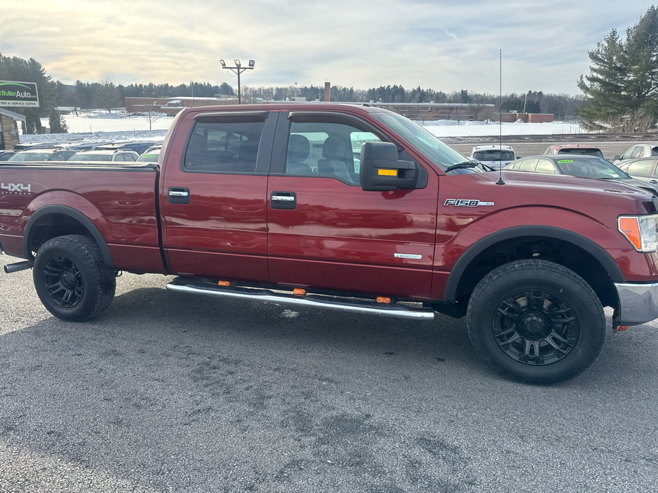 Ford F-150 4WD SuperCrew 145" XLT 2014