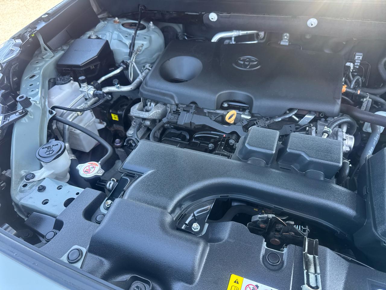 Toyota RAV4 XLE AWD (Natl) 2023