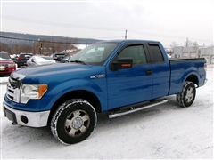 2010 Ford F150 