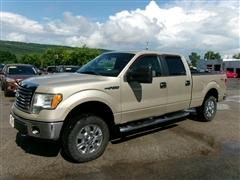 2010 Ford F150 