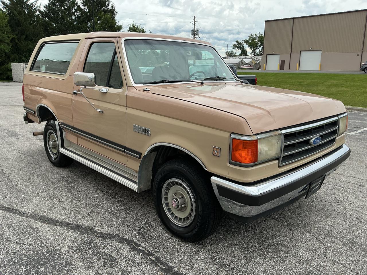 Ford Bronco Custom 1989