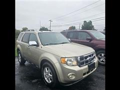 2010 Ford Escape 
