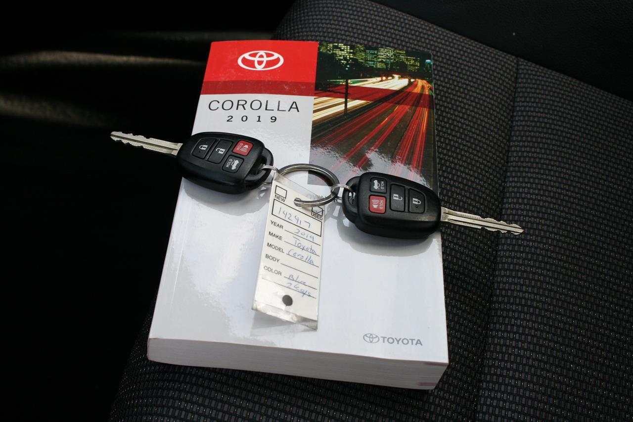 Toyota Corolla SE CVT (Natl) 2019