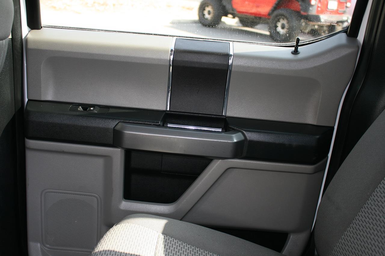 Ford F-150 XLT 2WD SuperCrew 5.5' Box 2019