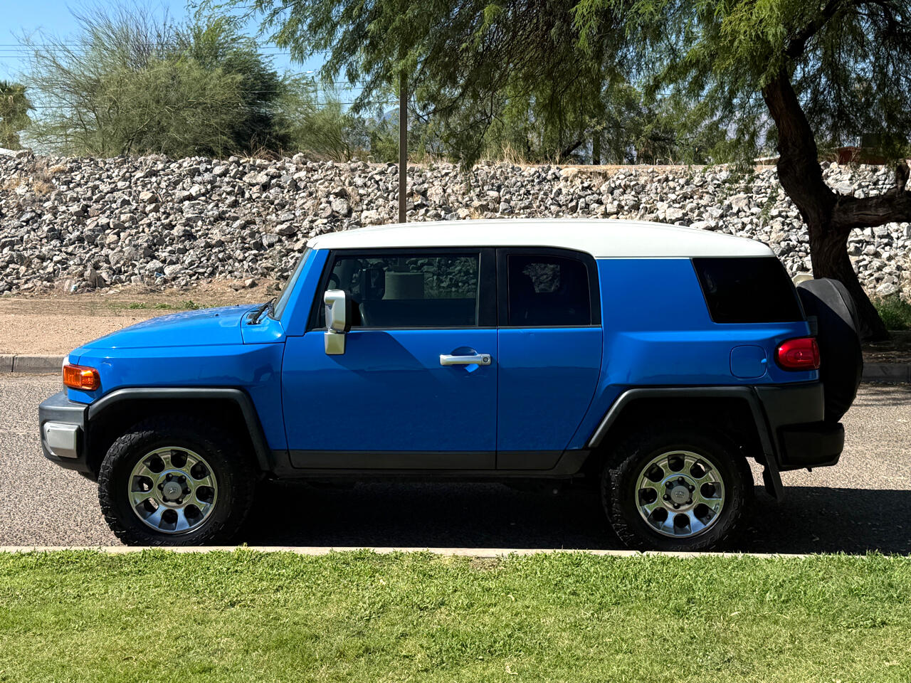 2008 Toyota FJ Cruiser Base photo 2