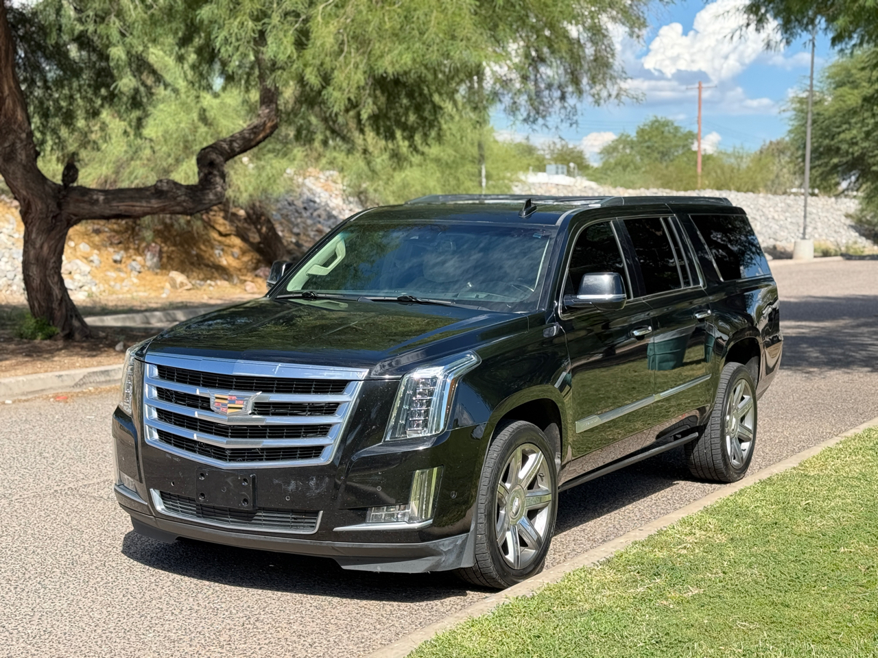 2019 Cadillac Escalade ESV 2WD Luxury