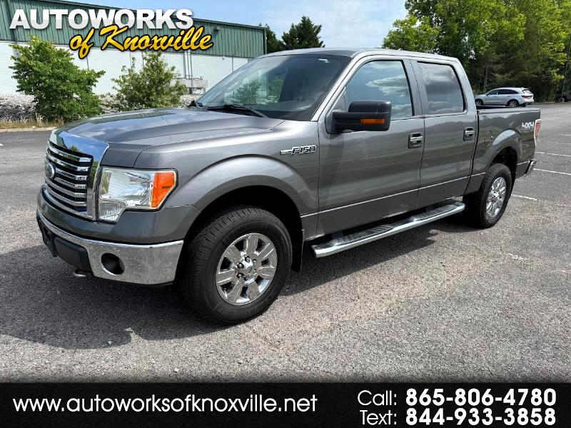 2010 Ford F-150