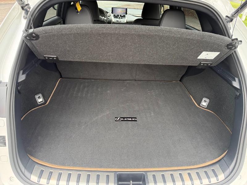 Lexus NX 300 Premium AWD 2020