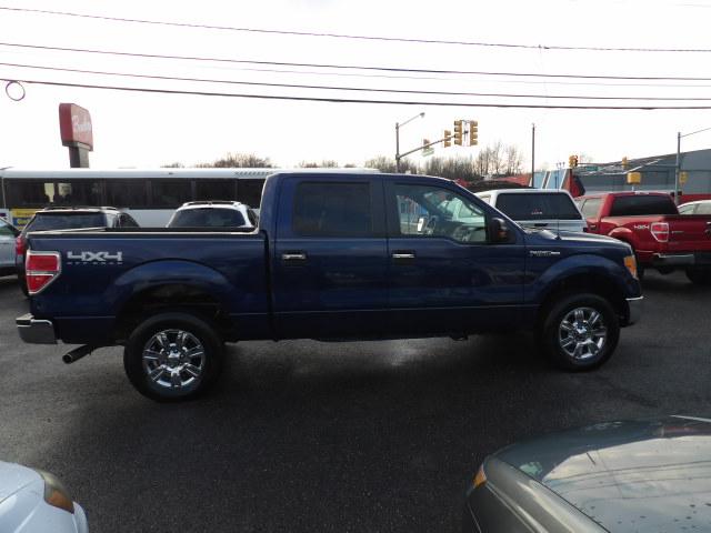 Ford F-150 4WD SuperCrew 145" Platinum 2012