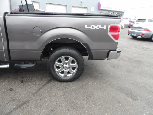 Ford F-150 4WD SuperCrew 139" XLT 2013