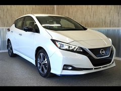 2021 Nissan Leaf 