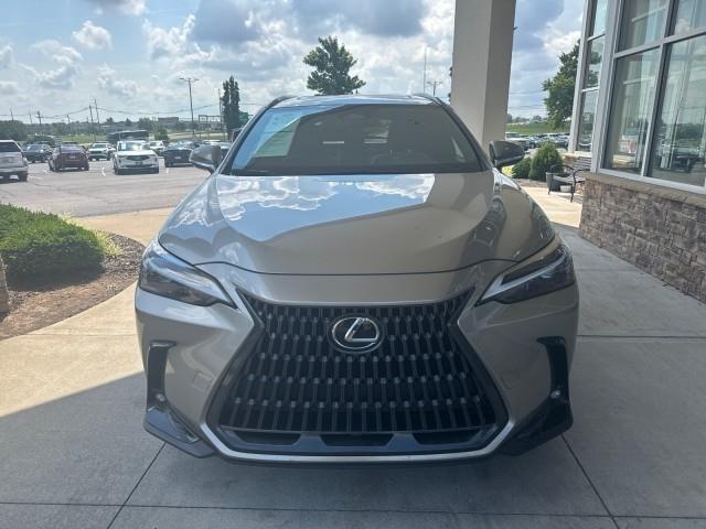 Lexus NX NX 350 AWD 2024
