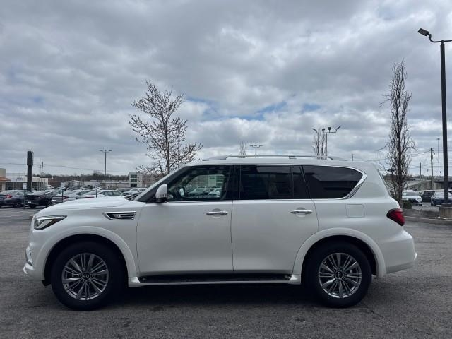 Infiniti QX80 LUXE AWD 2024