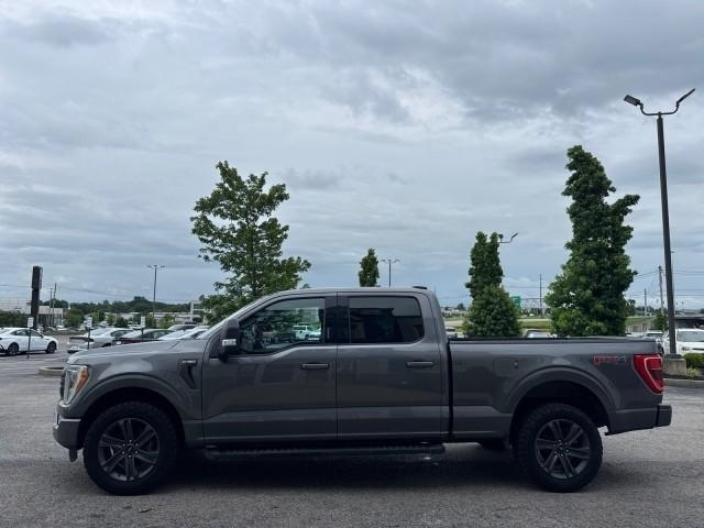 Ford F-150 King Ranch 4WD SuperCrew 5.5' Box 2023