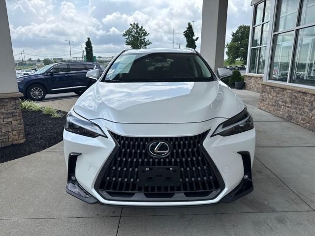 Lexus NX NX 350 AWD 2024