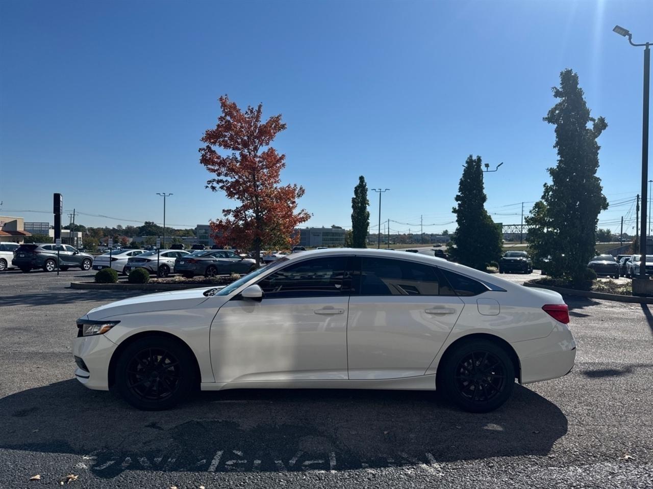 Honda Accord Sedan LX 1.5T CVT 2019