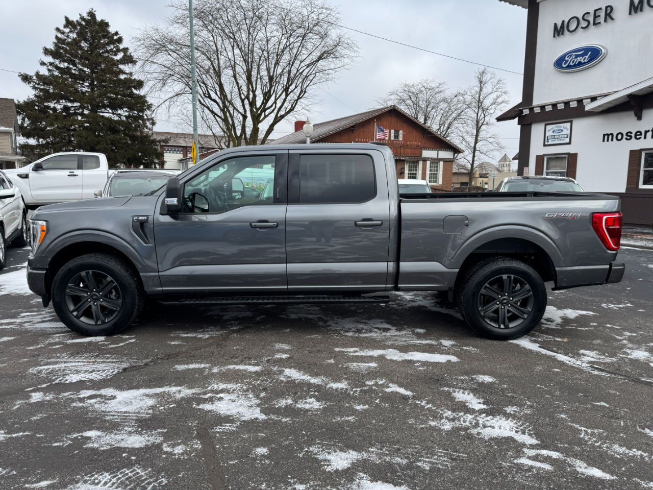 Ford F-150 XLT 6.5-ft. Bed 4WD 2023