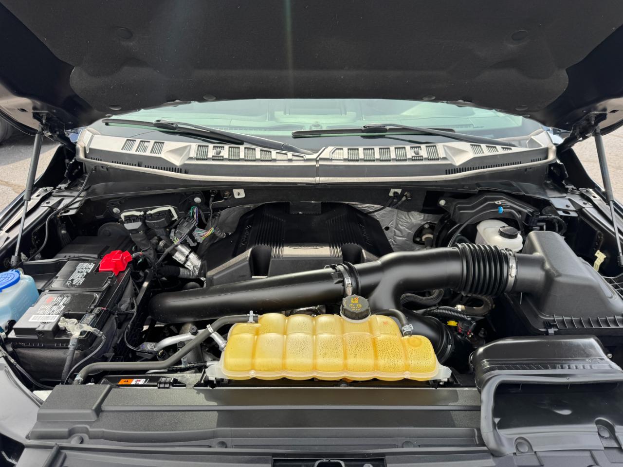 Ford F-150 XLT 4WD SuperCrew 6.5' Box 2019