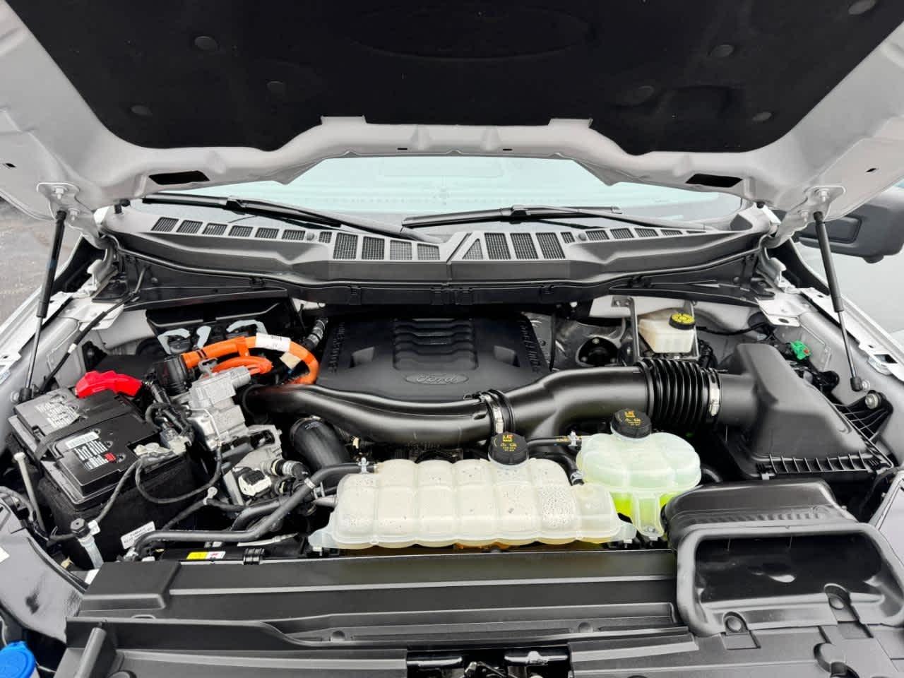 Ford F-150 XL 4WD SuperCrew 5.5' Box 2023