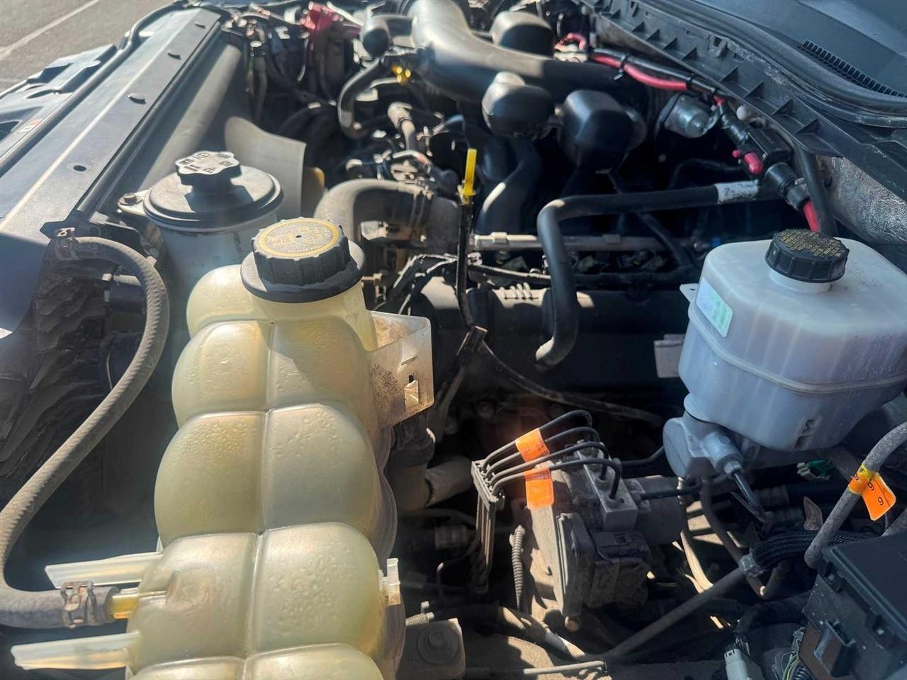 Ford Super Duty F-550 DRW XL 4WD Reg Cab 145" WB 60" CA 2019