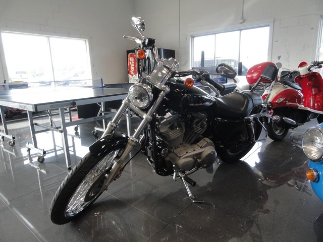 Harley-Davidson XL883  2005