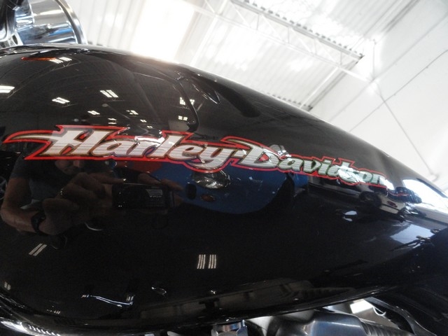 Harley-Davidson XL883  2005