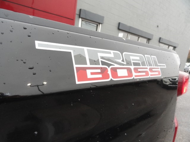 Chevrolet Silverado 1500 4WD Crew Cab 147" LT Trail Boss 2020
