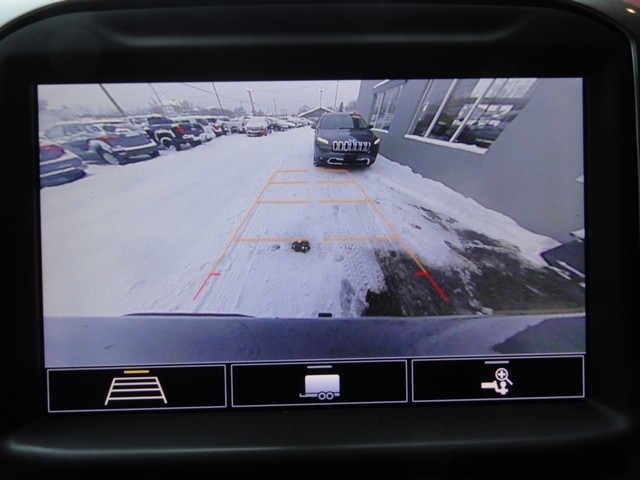 Chevrolet Silverado 1500 4WD Crew Cab 147" LT Trail Boss 2020