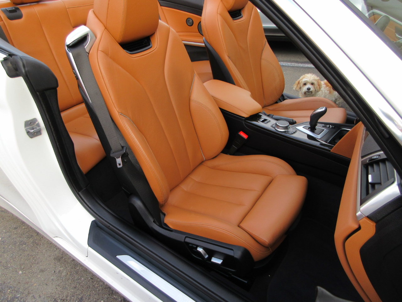 BMW 4 Series 440i Convertible 2019