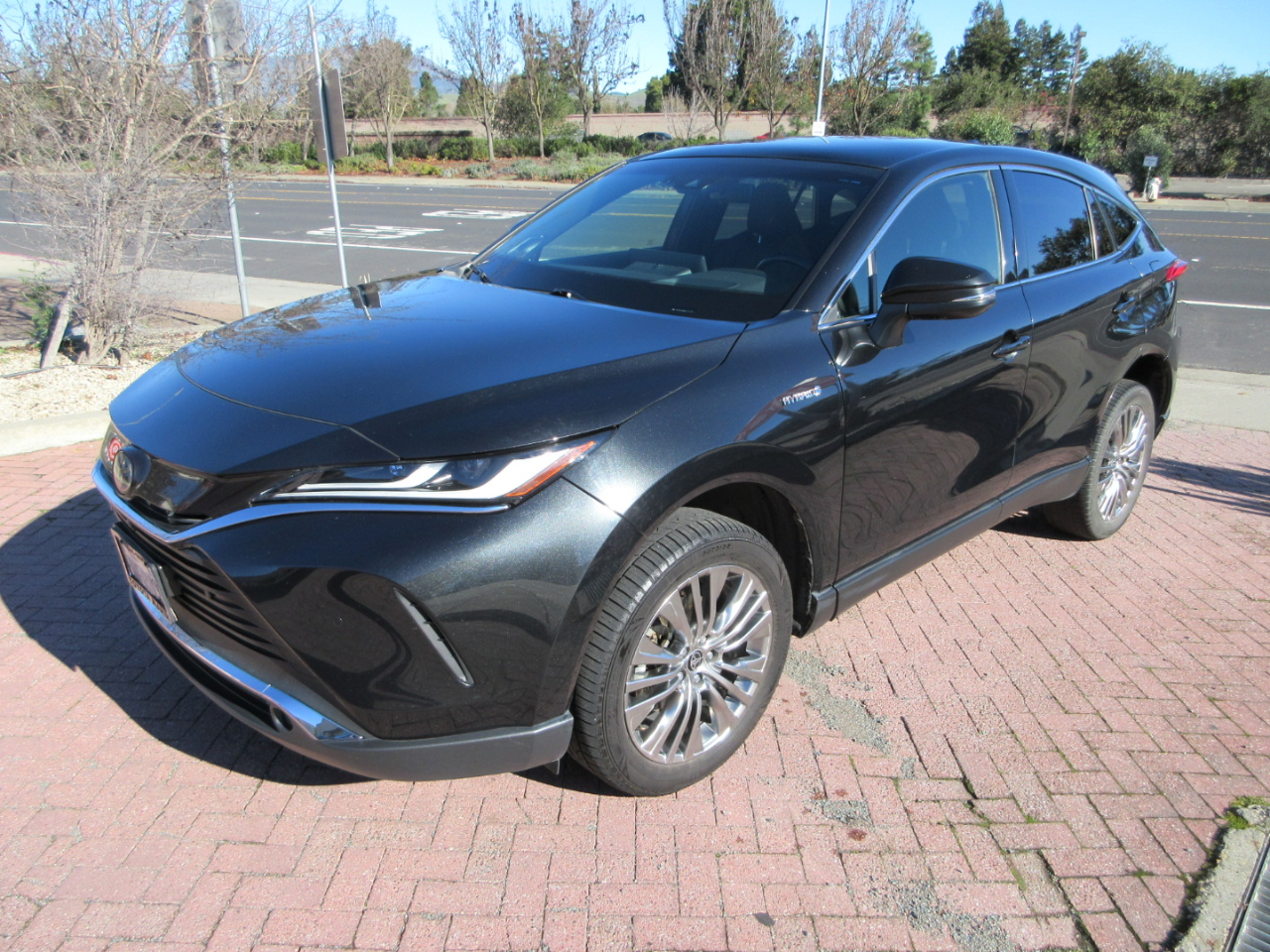 2021 Toyota Venza Limited AWD (Natl)