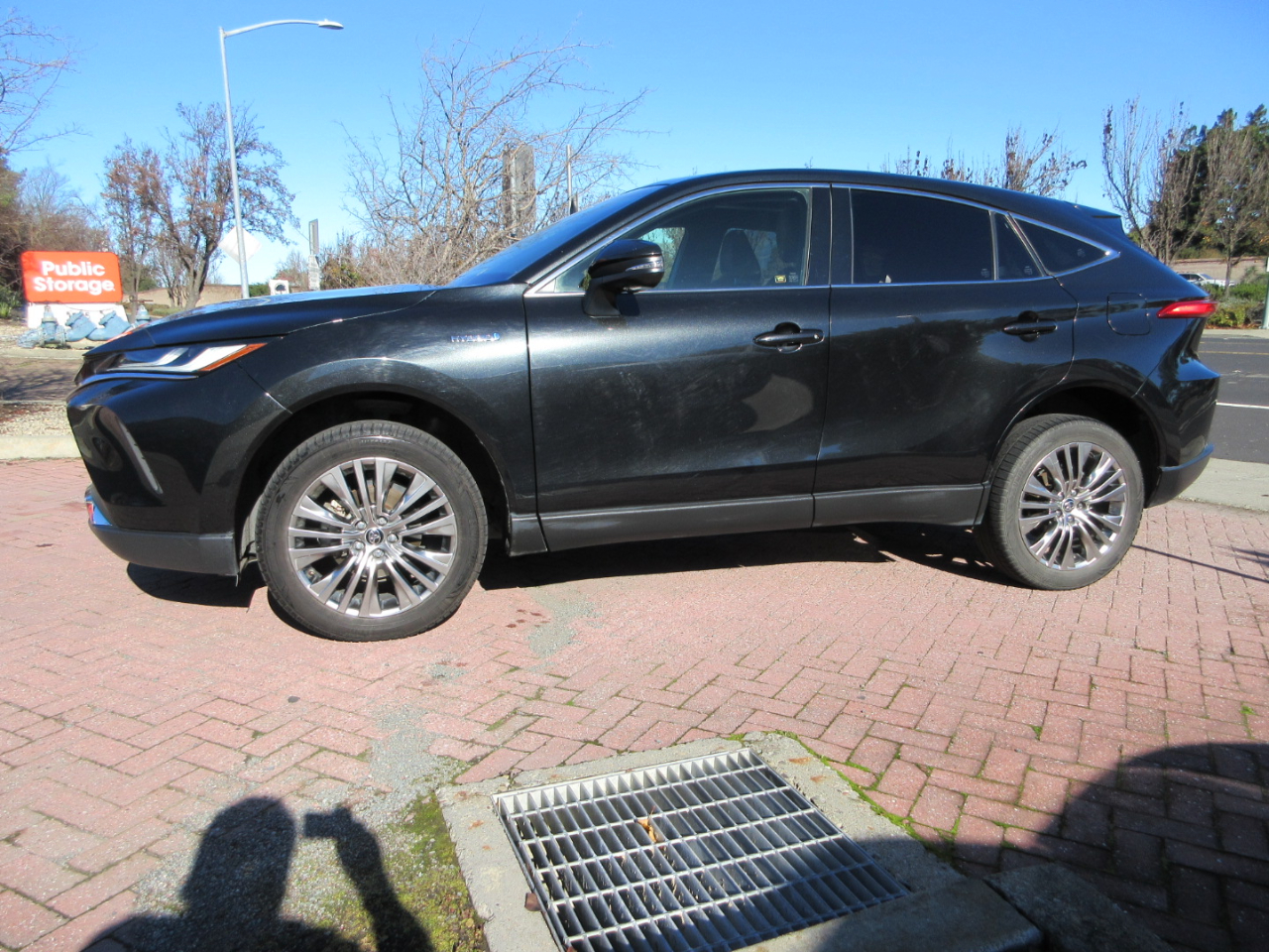 Toyota Venza Limited AWD (Natl) 2021