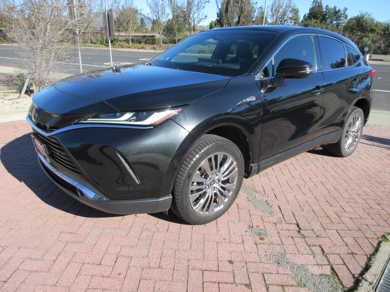 Toyota Venza Limited AWD (Natl) 2021