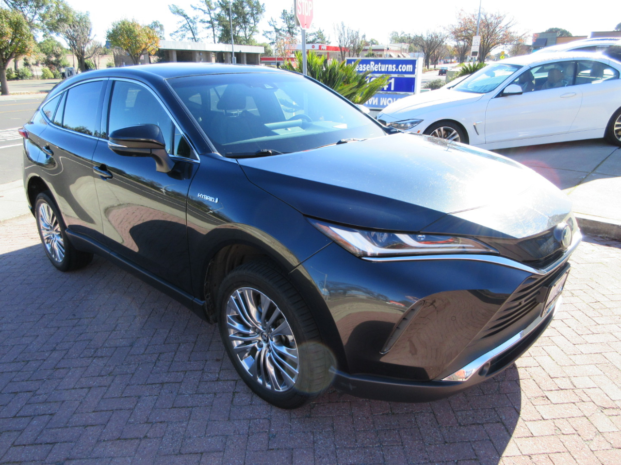 Toyota Venza Limited AWD (Natl) 2021