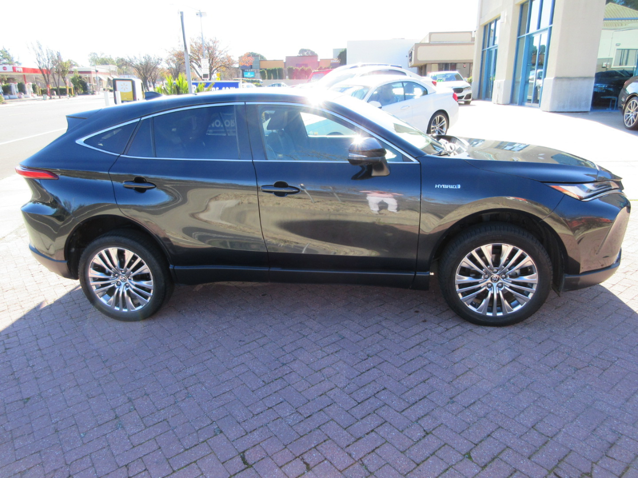 Toyota Venza Limited AWD (Natl) 2021