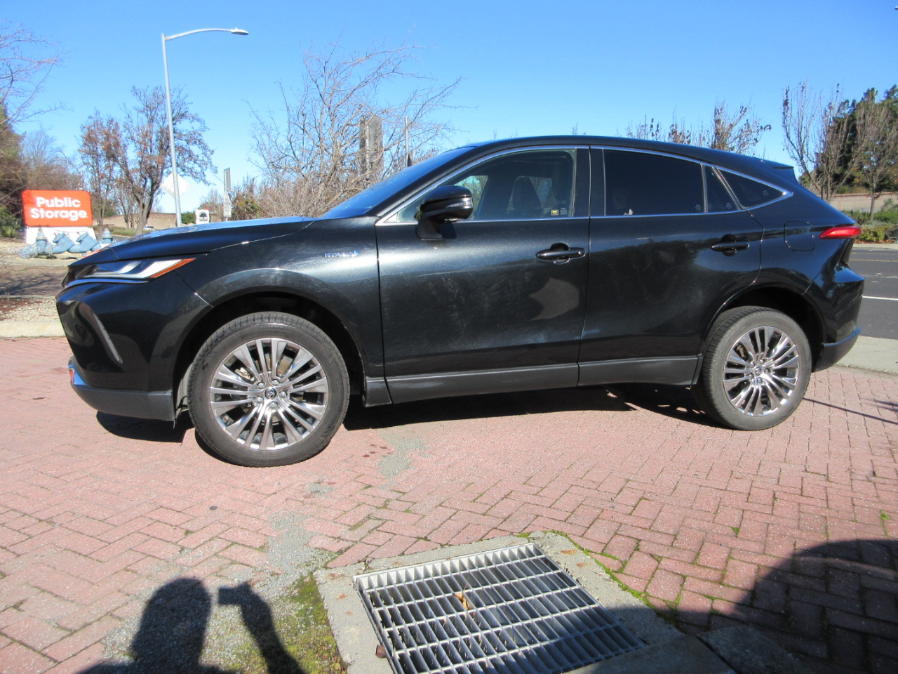 Toyota Venza Limited AWD (Natl) 2021