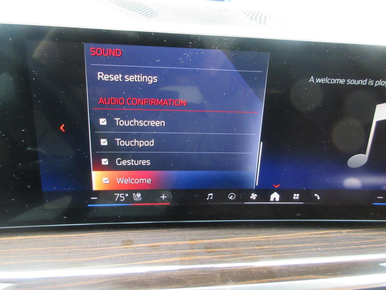 BMW X5  2024
