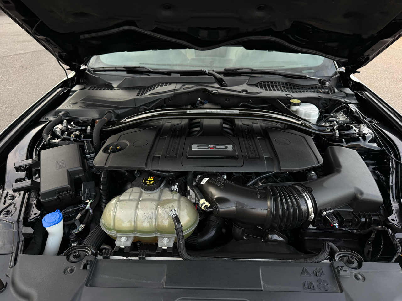 Ford Mustang GT Coupe 2022